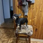 Фото з відгуку