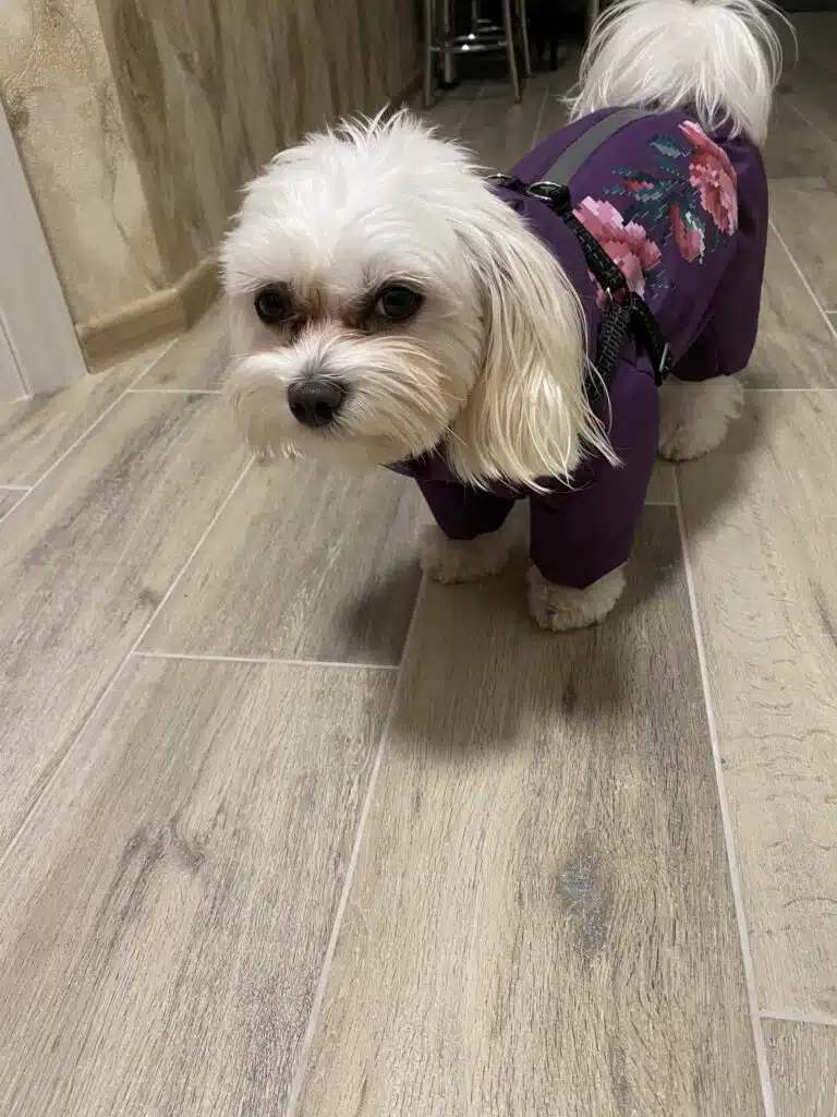 Зображення #1 від Марина