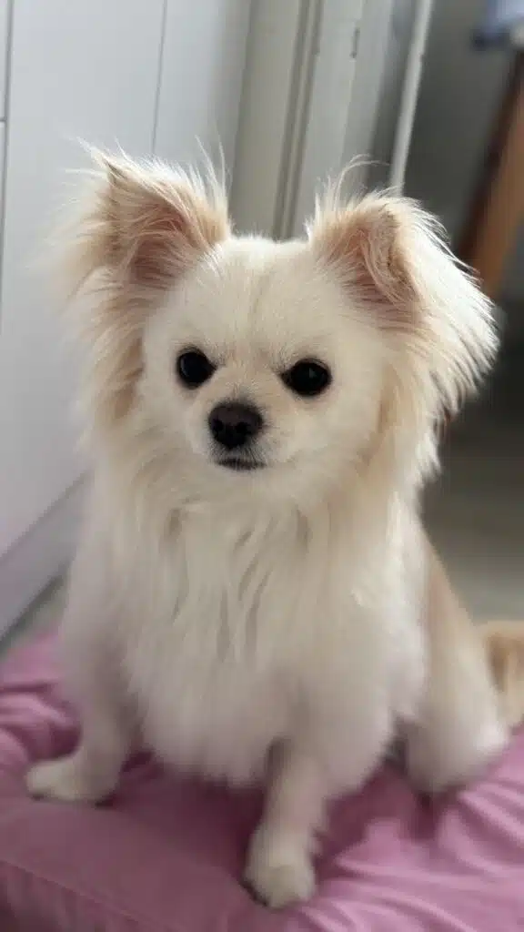 Зображення #1 від Anonymous