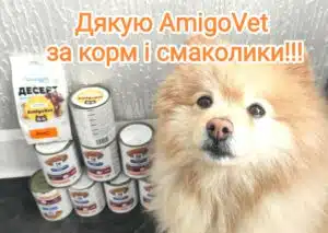 img 20240304 002043