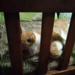 Фото з відгуку