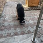 Фото з відгуку