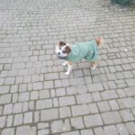 Фото з відгуку