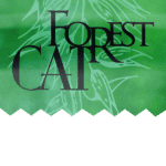 Forest Cat