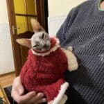 Фото з відгуку