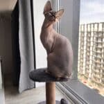 Фото з відгуку