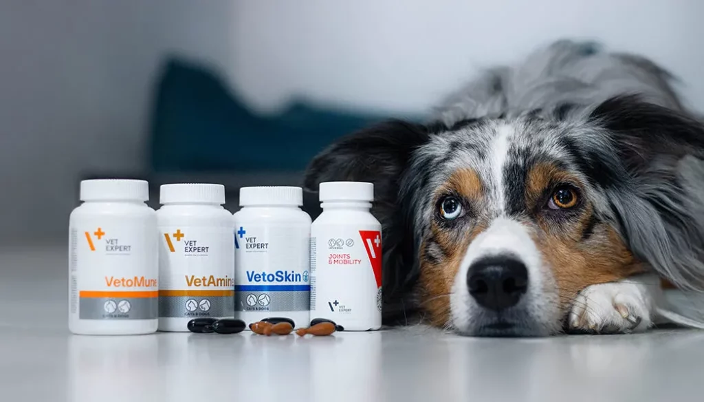 vetexpert banner amigovet