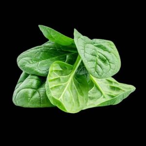 spinach 1