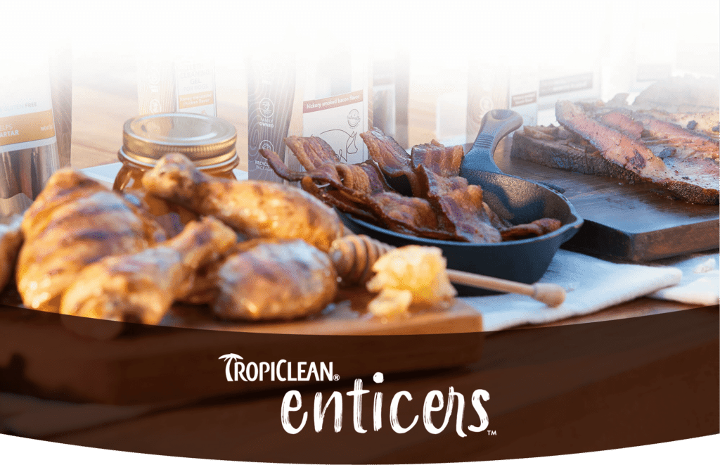 tropiclean website design resaved headers curve enticers