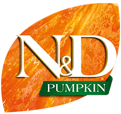 nd pumpkin logo