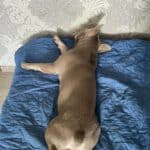 Фото з відгуку
