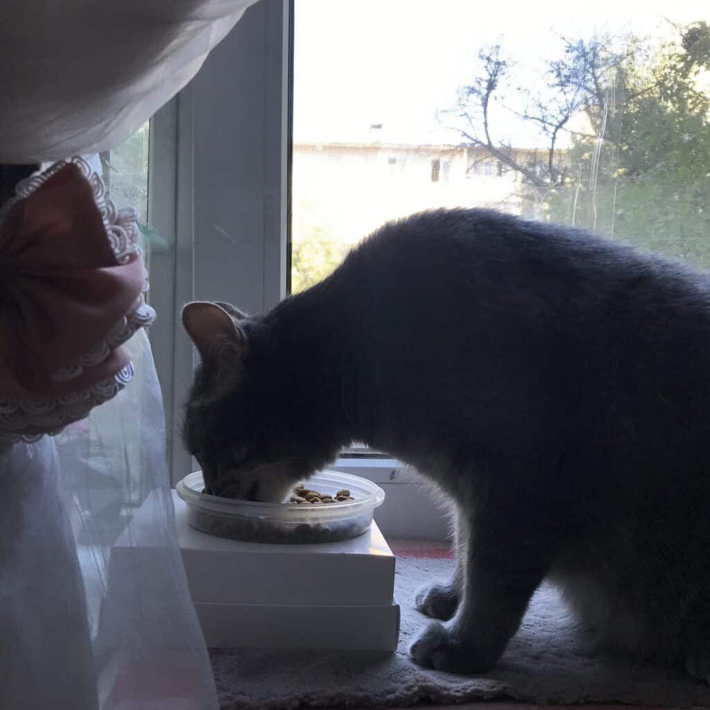 Зображення #2 від Леся