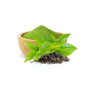 green tea391 240resizebg amigovet