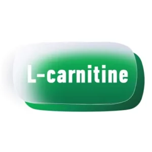 l carnitine391 240resizebg amigovet 1