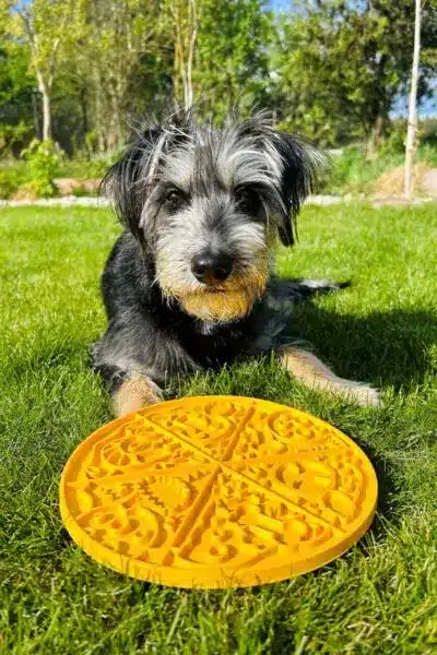 luis pizza 2 scaled