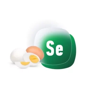 sodium selenite391 240resizebg amigovet 1 1 1 1