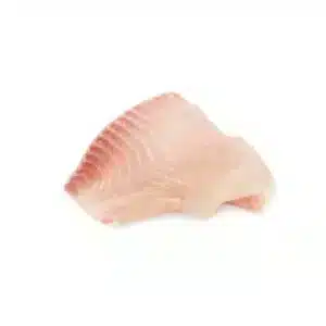 white fish391 240resizebg amigovet 1