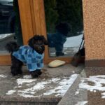 Фото з відгуку
