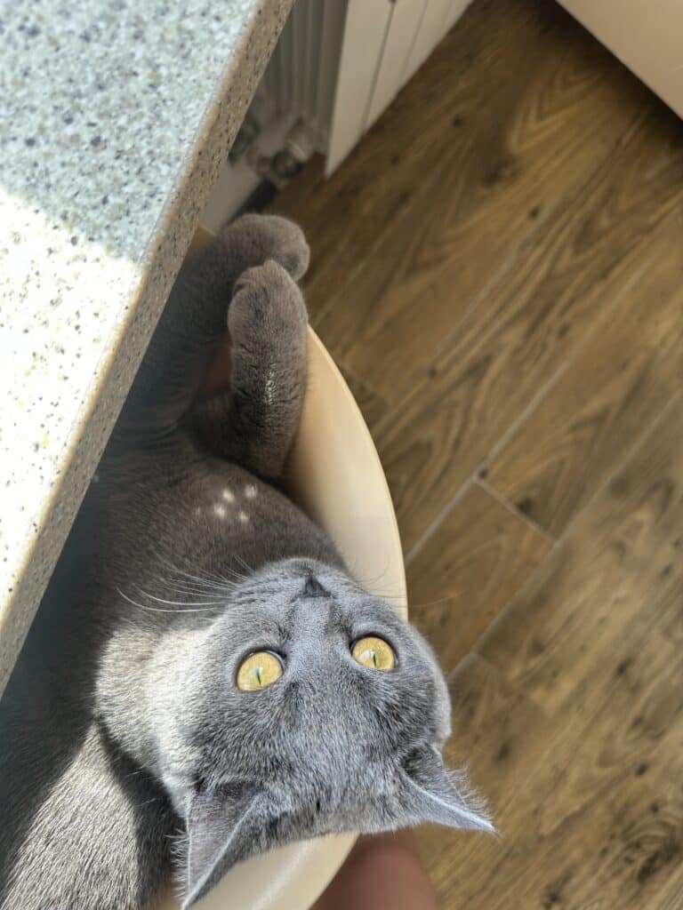 Зображення #1 від Anonymous
