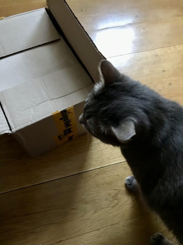 Зображення #1 від Леся