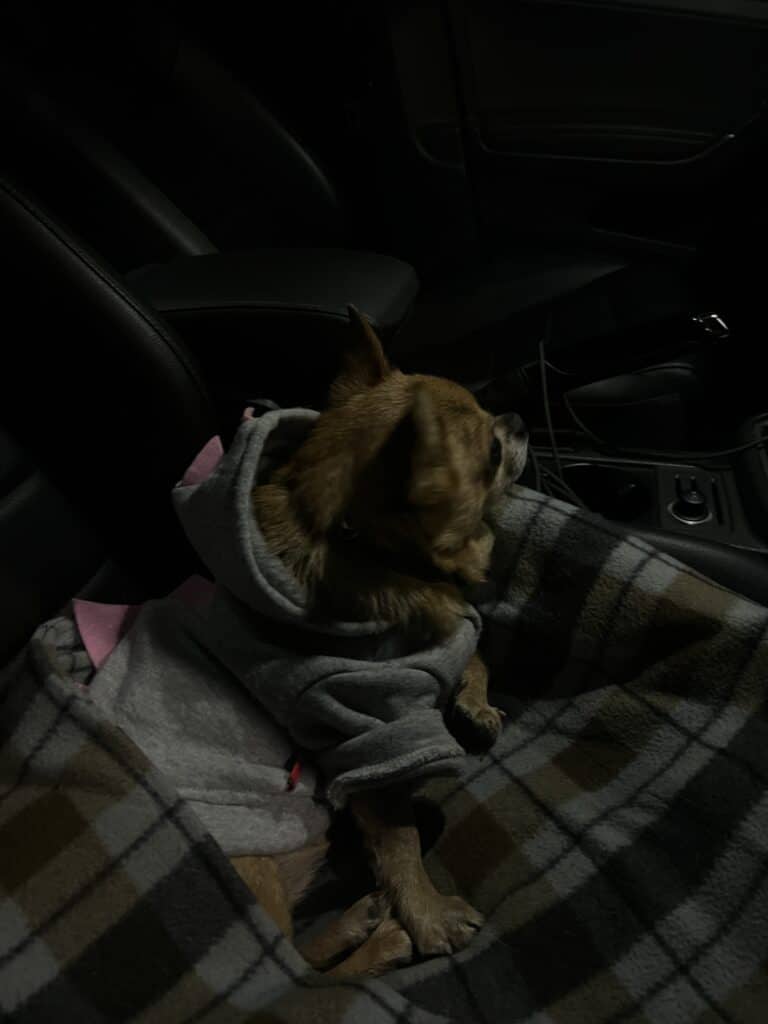 Зображення #1 від Евгения