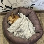 Фото з відгуку