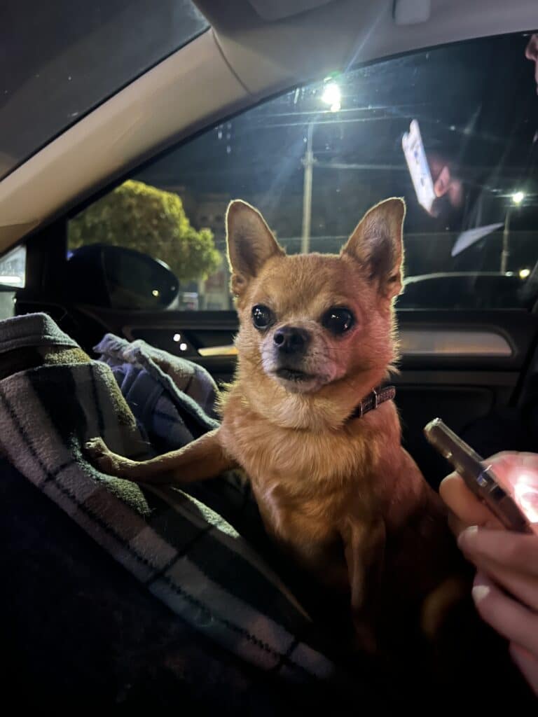 Зображення #1 від євгенія