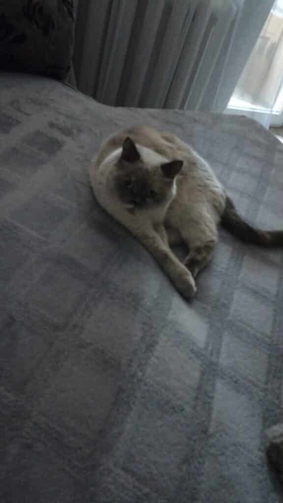 Зображення #1 від Людмила А.