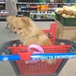 Фото з відгуку