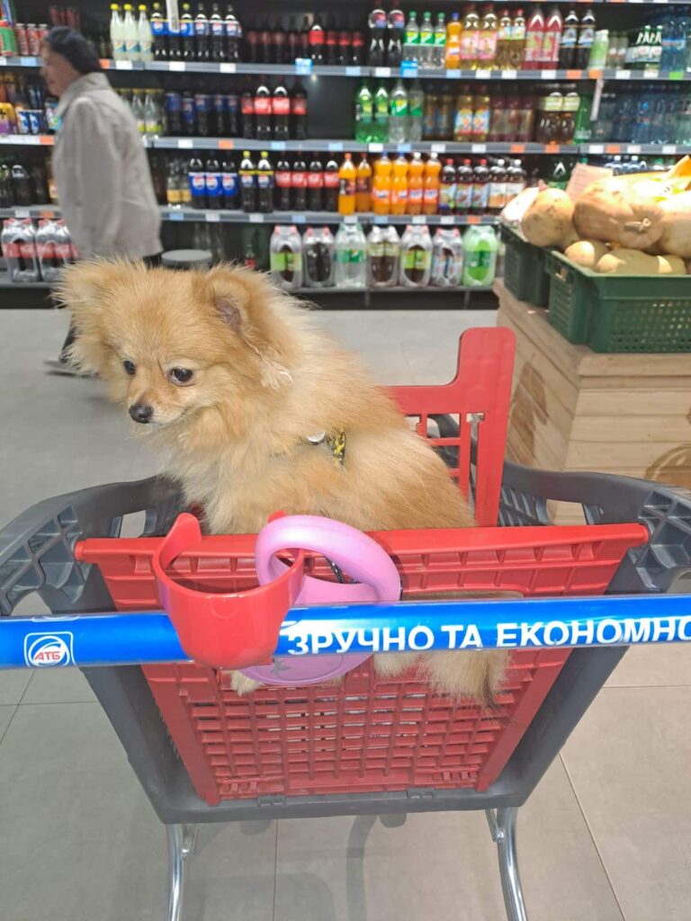 Зображення #1 від Нінель