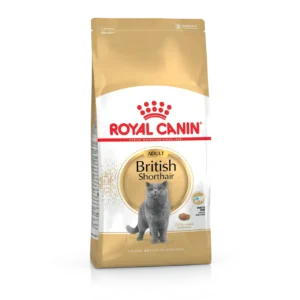 Сухий корм Royal Canin British Shorthair Adult для котів