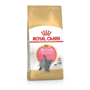 Сухий корм Royal Canin British Shorthair для кошенят