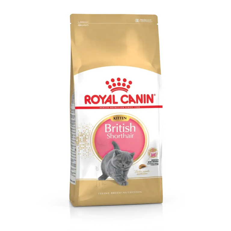 Сухий корм Royal Canin British Shorthair для кошенят