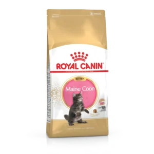 Сухий корм Royal Canin Maine Coon Kitten для кошенят породи мейн-кун