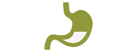 digestive 2