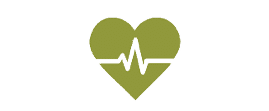 heart 1