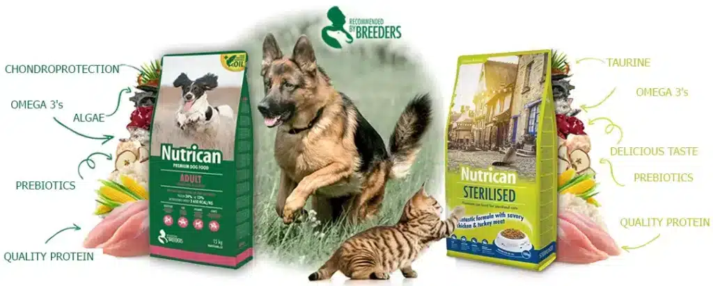home banner01 en amigovet