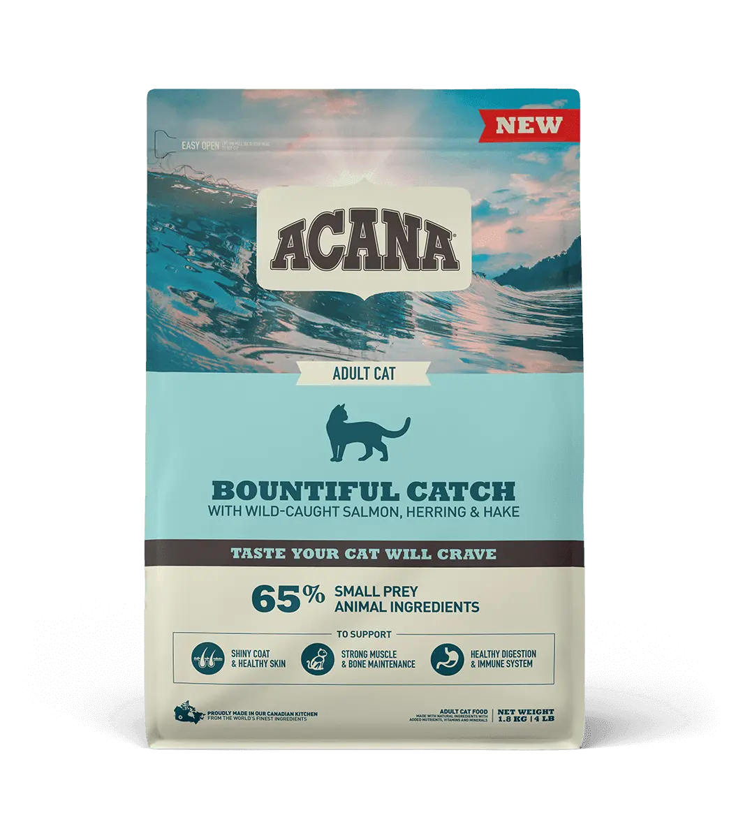 Корм для котів Acana Bountiful Catch Cat, лосось, оселедець, мінтай, форель, гарбуз, чорниця
