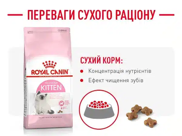 rc kitten secondage dry apremium mobile module 6 image 2 amigovet