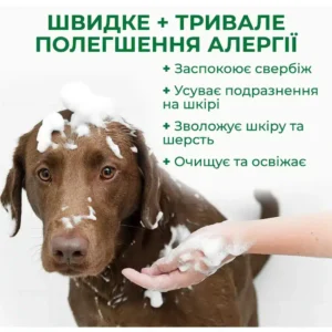 untitled 1 amigovet 10