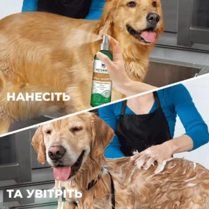 untitled 1 amigovet 12