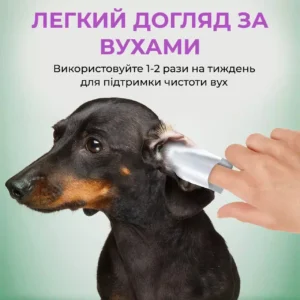 untitled 2 amigovet