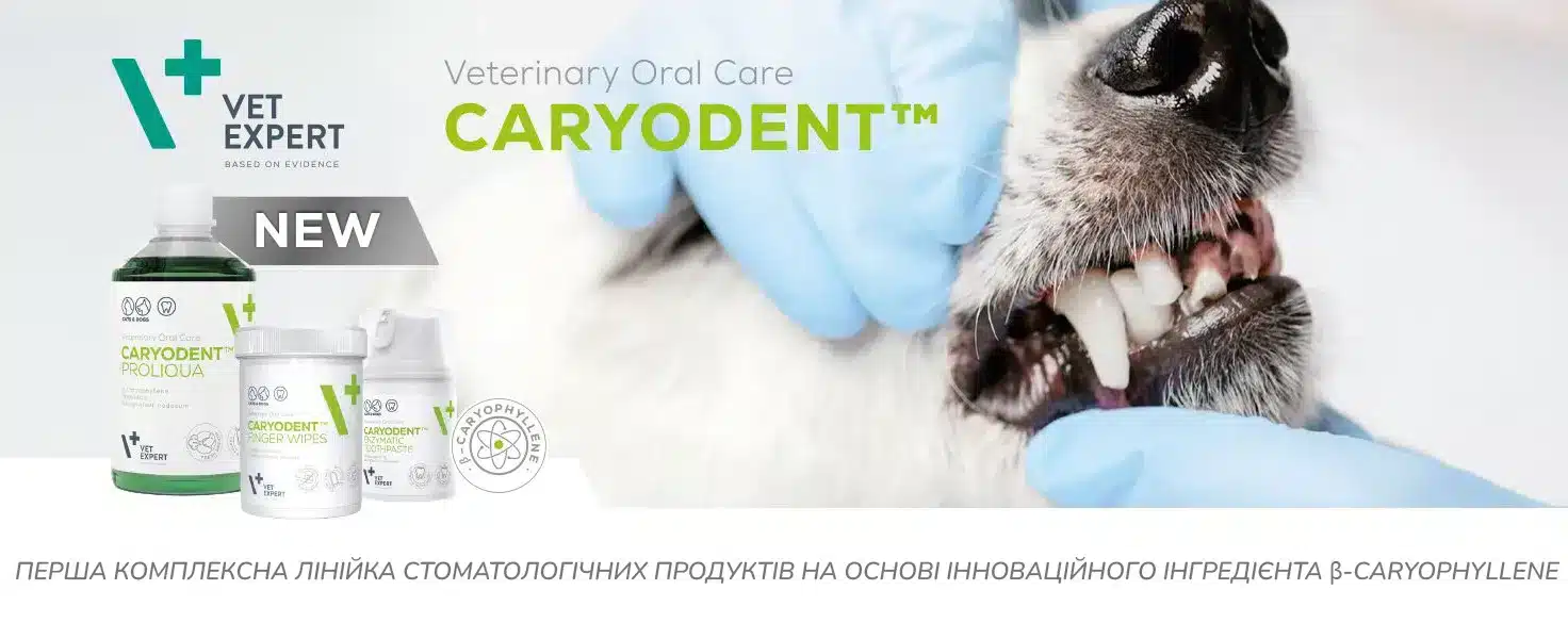 Vet Expert CaryoDent Finger Wipes (КеріоДент Фінгер Вайпс) – серветки для механічного чищення зубів та ясен собак і котів, 50 шт 1 vet expert caryodent banner amigovet