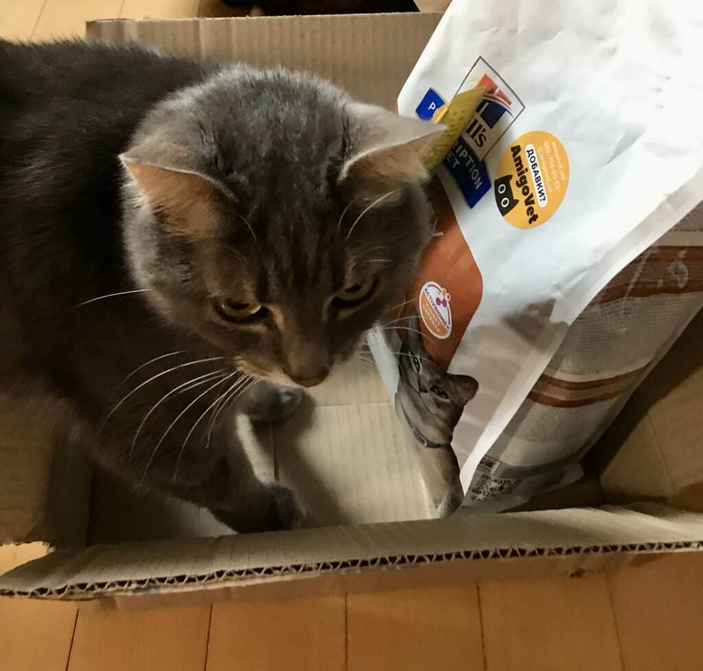 Зображення #1 від Леся