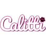 Calitti