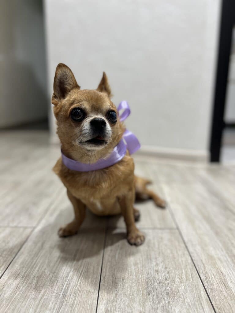 Зображення #1 від Анонім