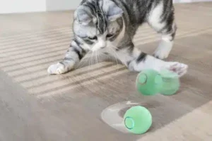 interactive cat toy amigovet