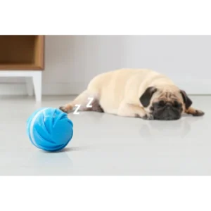 play rest balance w1 amigovet