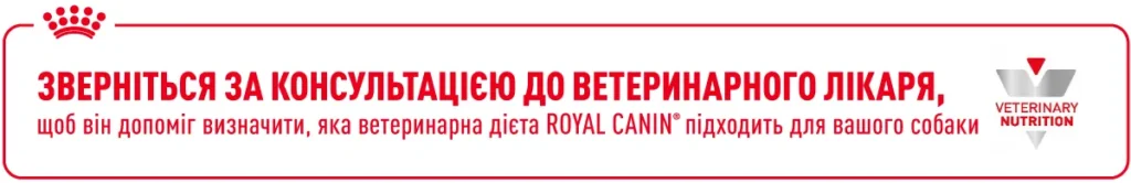 rc vet warning banner 1200h195px dogs amigovet 1