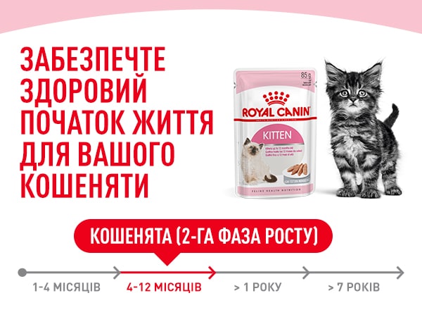 royalcanin kitten instinctive loafinsauce apremium mobile module 1